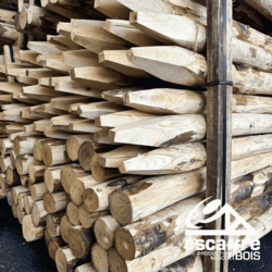 Piquet écorcé épointé diam 8/10 cm - CHATAIGNIER francais - longueur 1.00 ml